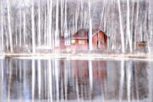 red cottage icm