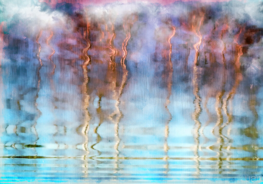 tree water reflection